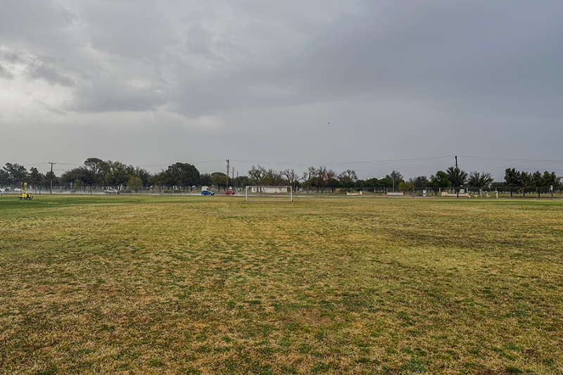 Soccer Field