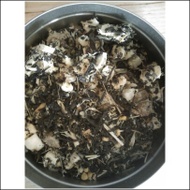 Black Honey from Sugar Inc.