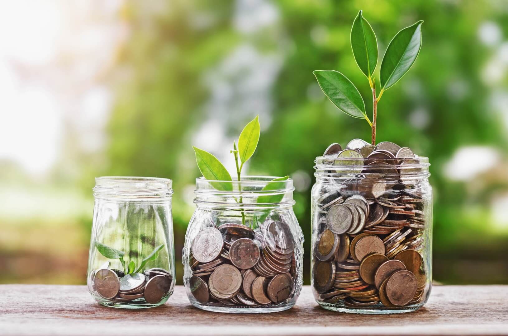 Wealth Paradigm