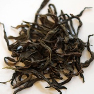 Dong Fang Hong Wudong from Camellia Sinensis