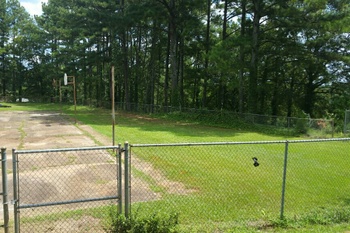 Field
