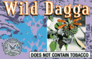 Wild Dagga (Leonotis leonurus) from Unknown
