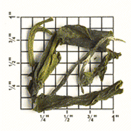 TT95: Formosa Special White Tea from Upton Tea Imports