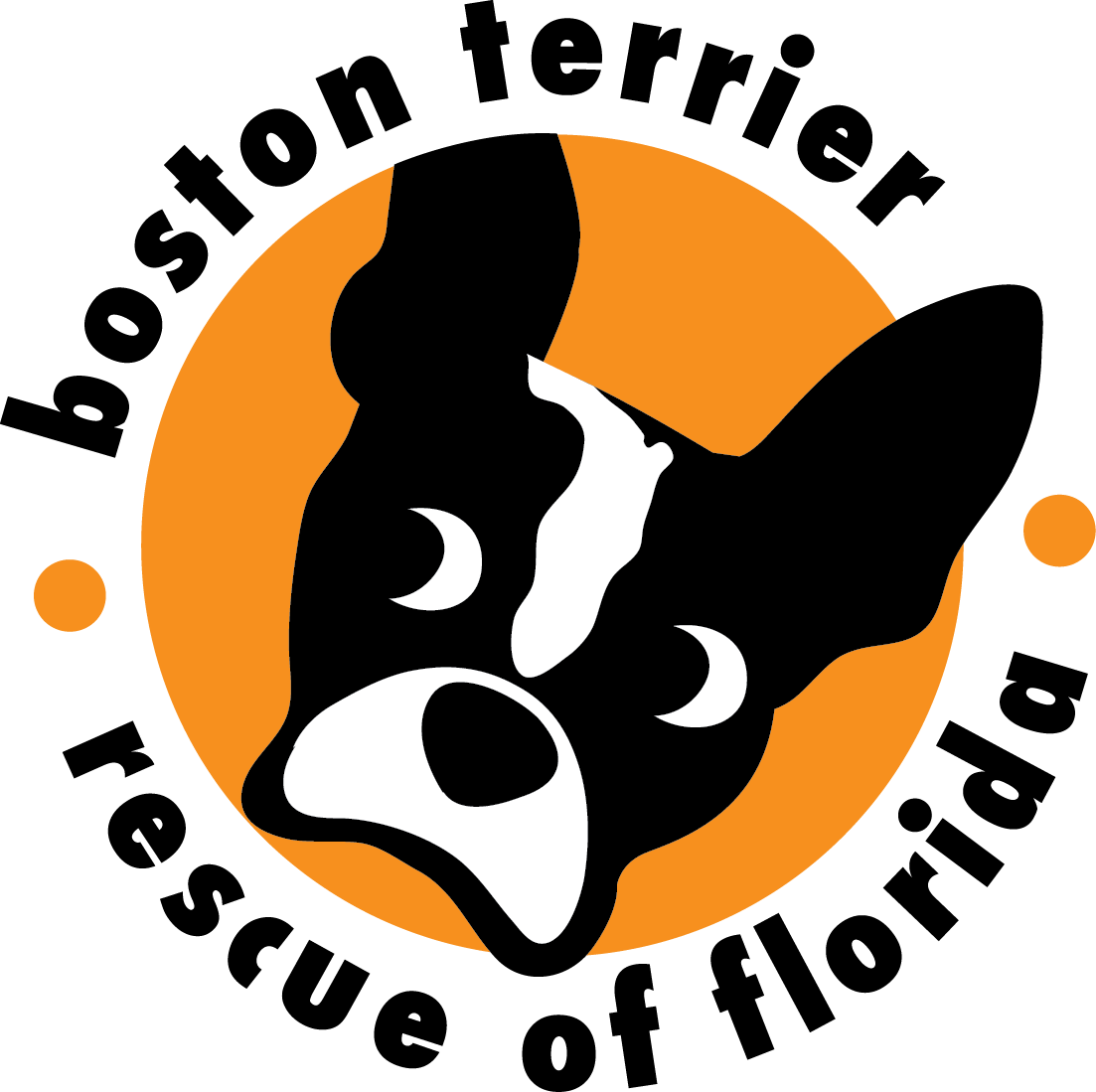 Boston Terrier Rescue of Florida, Inc. logo