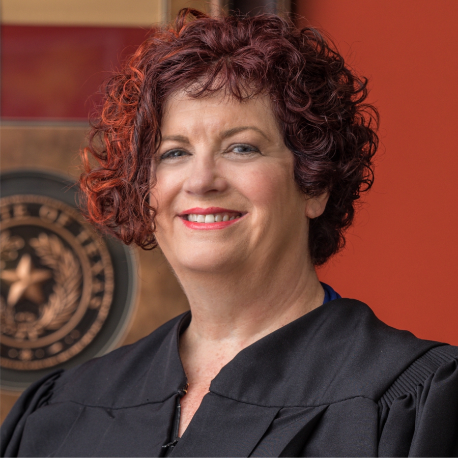 Judge Bonnie Goldstein for Justice logo