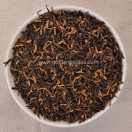 Assam Enigma from Golden Tips Tea Co Pvt Ltd