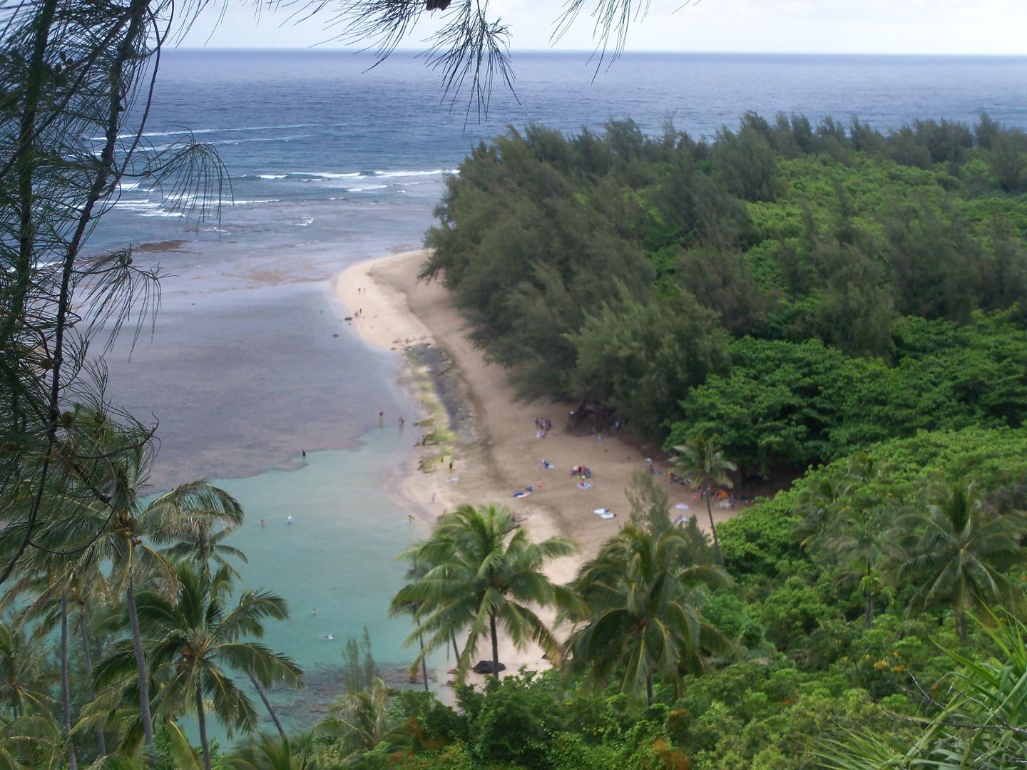 Kauai Private Tour photo 4