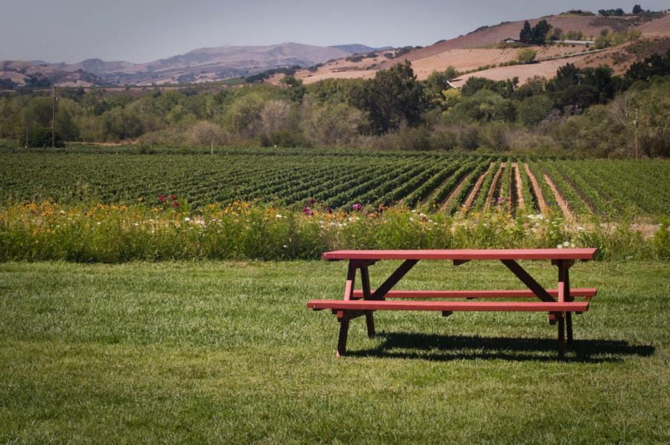 Private Classic Wine Tour up to 6 guests. From $185.00 pp. photo 1
