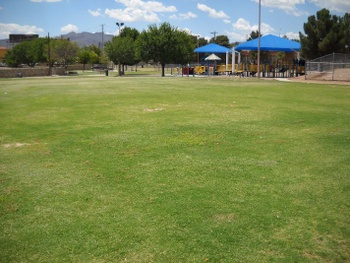 Playfield