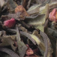 Raspberry Luxe from Remedy Teas