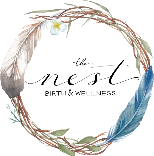 The Nest Birth & Wellness logo