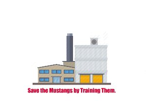 http://www.mustangcamp.org logo