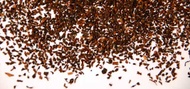 Los Andes from Shanti Tea