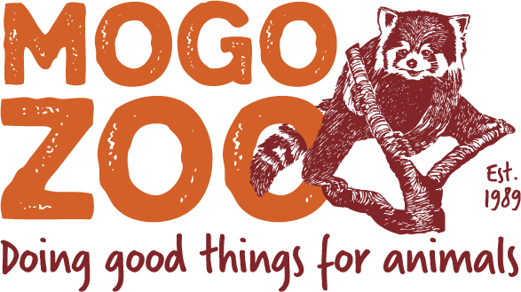 Mogo Zoo logo