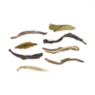 Margaret's Hope First Flush Darjeeling from The Steeping Room