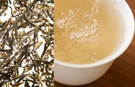 Osmanthus Silver Needle from Samovar