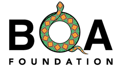 The Boa Foundation logo