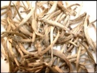 Ceylon Silver Tips from Empire Tea Services