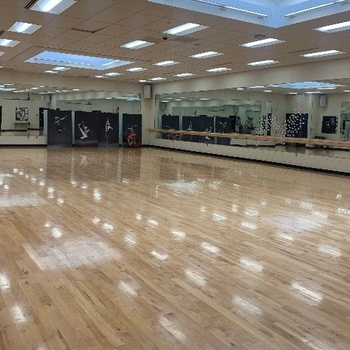 Dance room/Wrestling room
