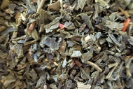 Kombucha Detox from Tea Squared