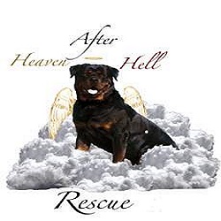 Heaven After Hell Rescue logo