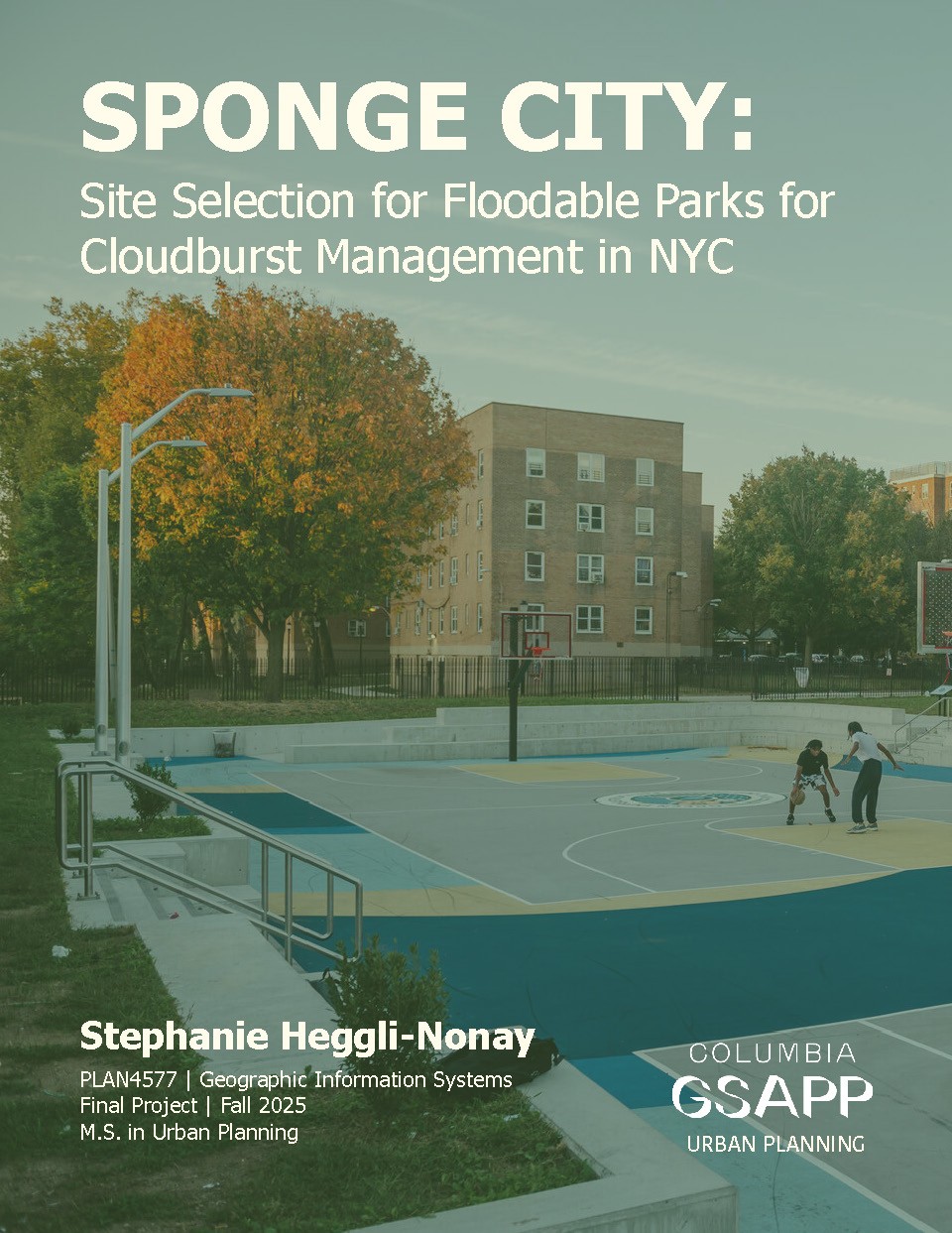 SPONGE CITY: Site Selection for Floodable Parks for Cloudburst ...