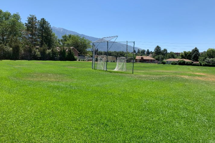 Fields