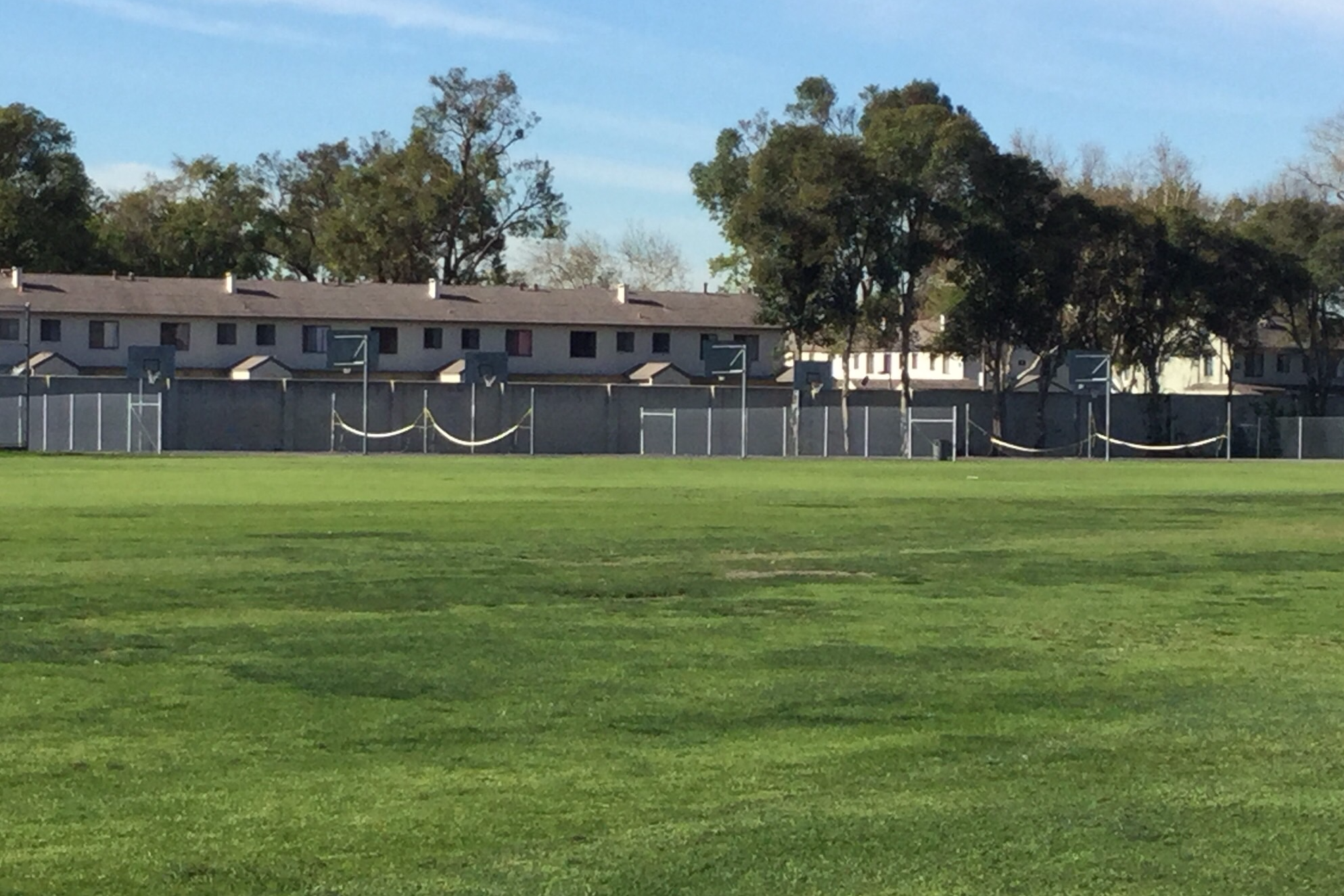 Field
