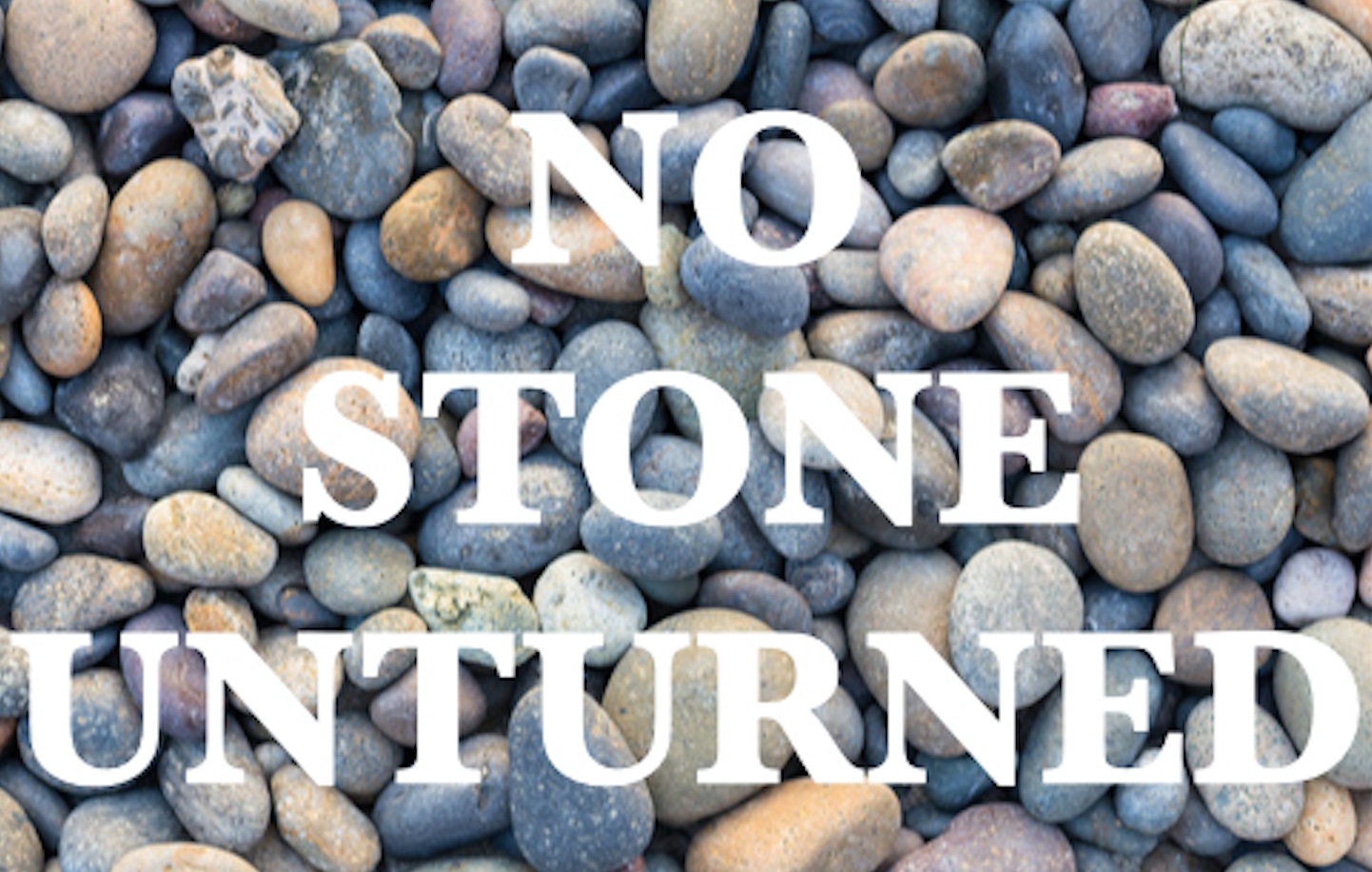 No Stone Unturned logo