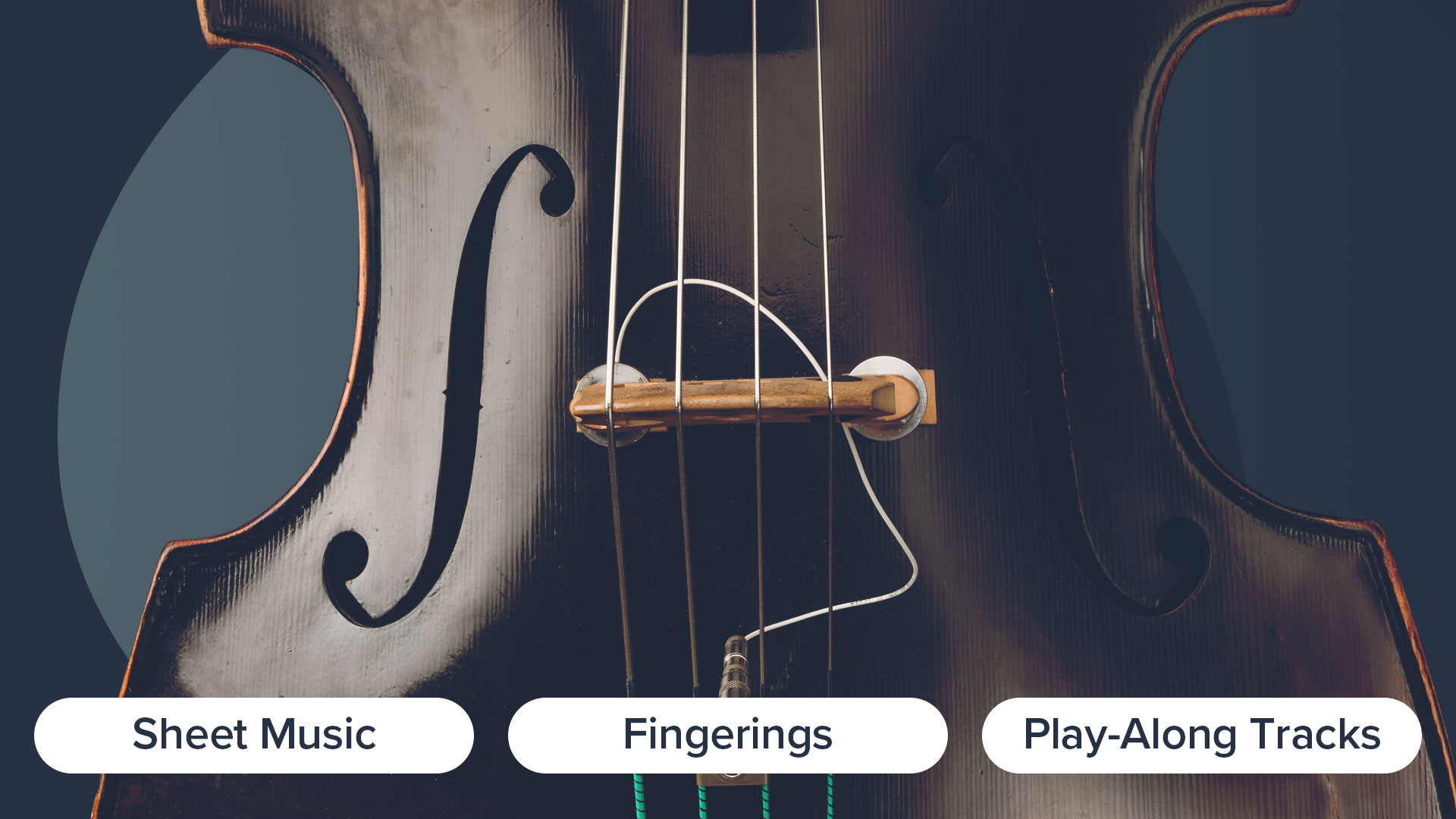 Double Bass Arpeggios: The Play-Along Collection | Discover Double