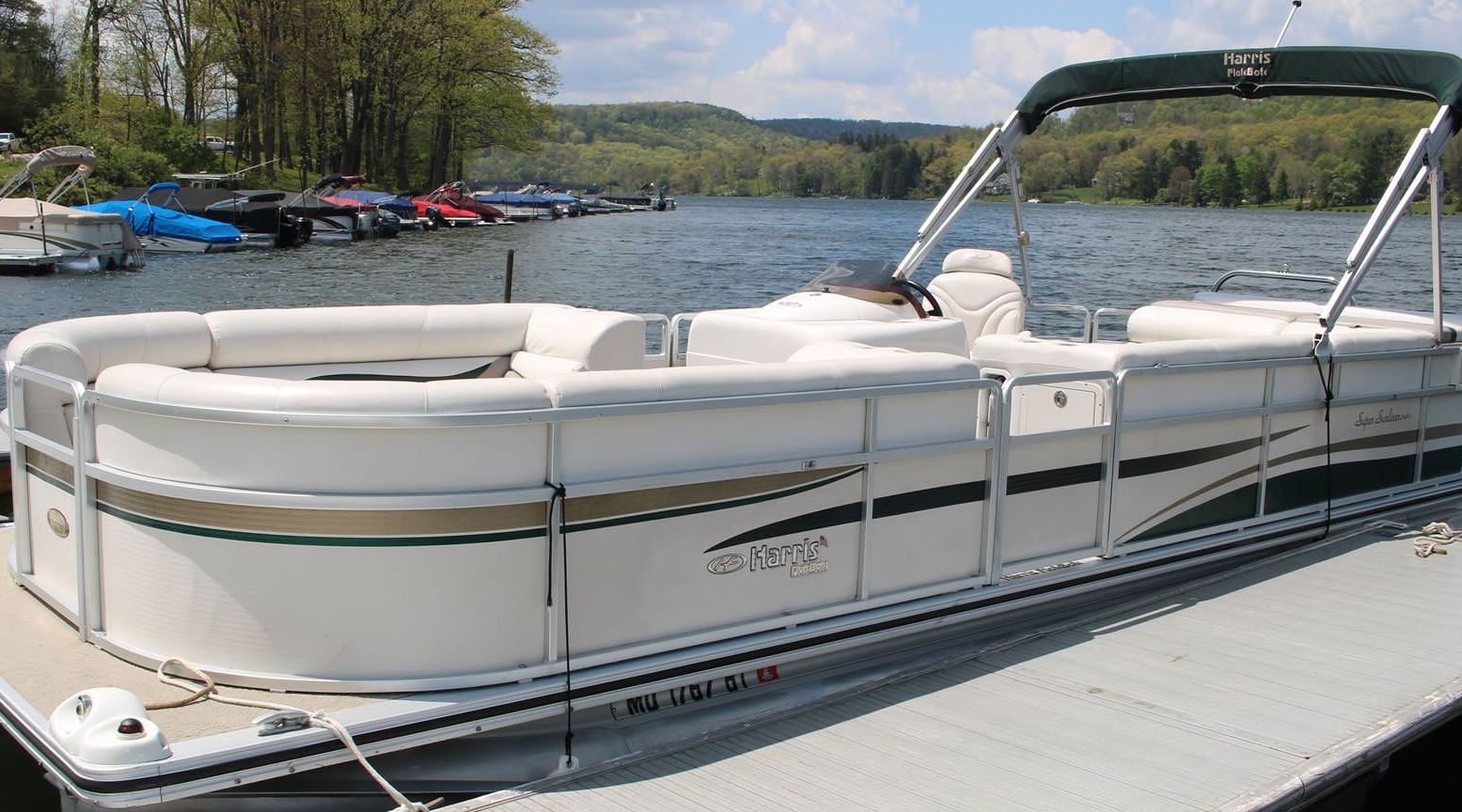 Deep Creek Lake Pontoon Tour Book Tours & Activities at