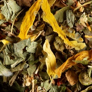 Tisane Fruits Exotiques from Dammann Frères