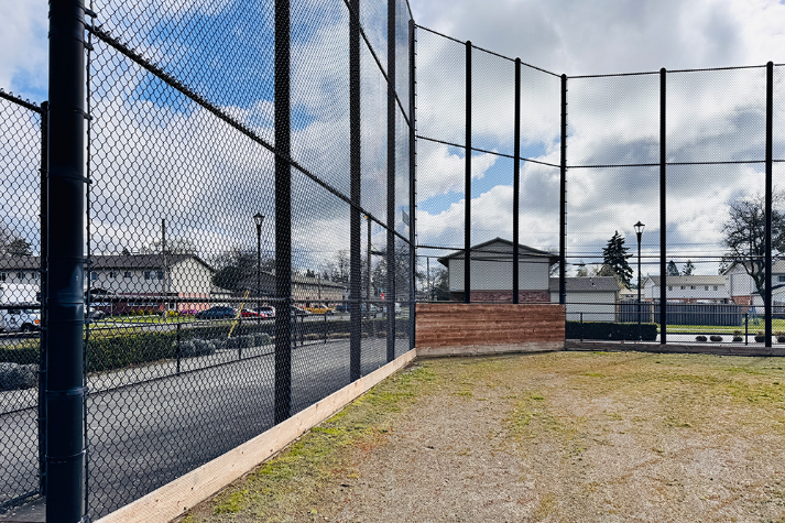 Baseball Field Grass