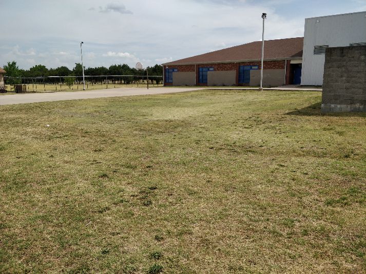 Field