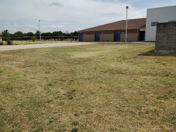 Field