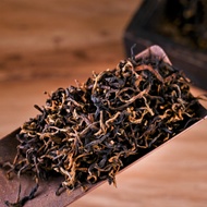 Assamica Black Tea from Mei Zi Qing Village from Yunnan Sourcing