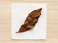 Eighteen from Song Tea & Ceramics
