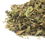 China Pai Mu Tan White Tea from Jenier World of Teas