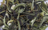 Brown Sugar Marshmallow Latte White Tea/Houjicha from 52teas