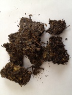 Aged green pu-erh cake from The Republic of Tea