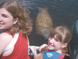 Manatee Sightseeing & Wildlife Boat Tour - Private Party photo 1
