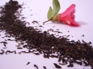Second Flush Darjeeling, FTGFOP1 Ambootia (Organic) from First Class Teas