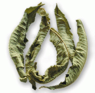 French Verveine from The Tao of Tea