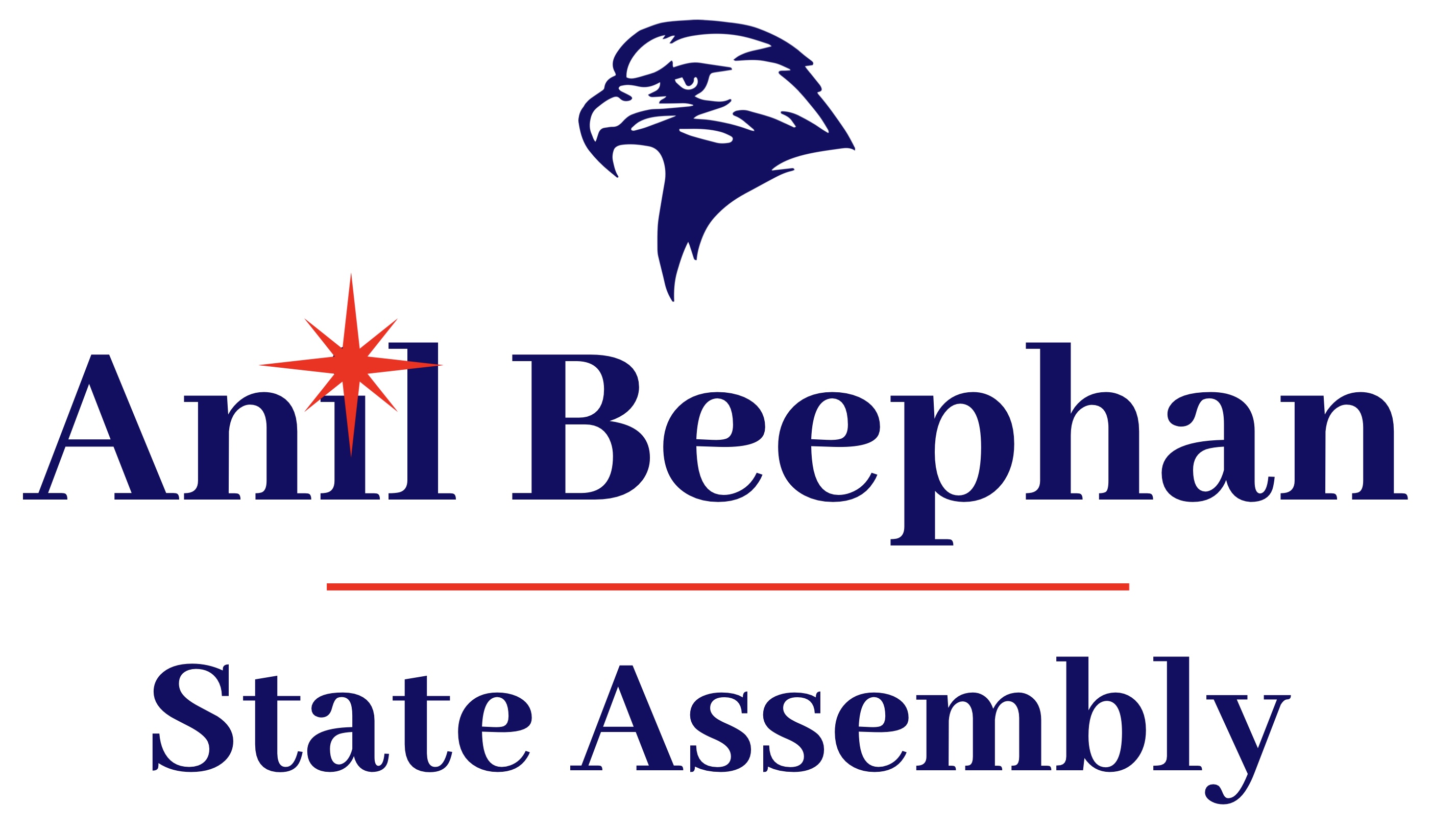 Beephan4NY logo