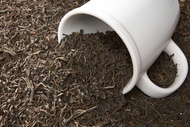 Earl of Bengal Tea from Teatulia Teas