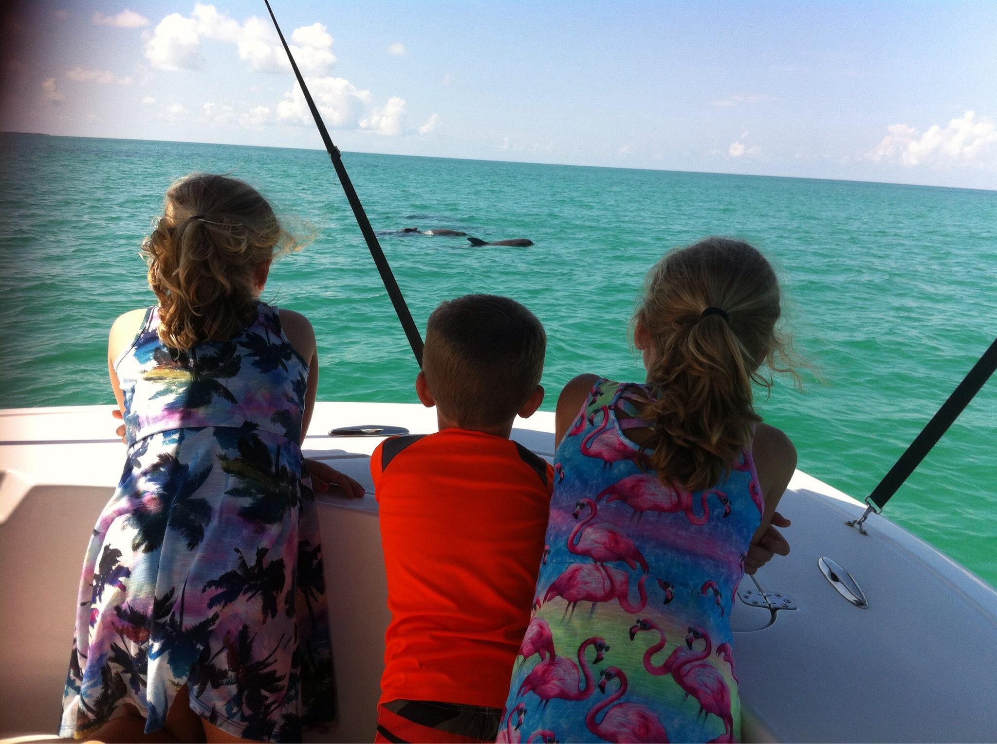Full Day Charter photo 1