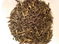Ancient Forest from Art of Tea