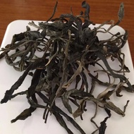2022 first spring picking Gua Feng Zhai ancient tree raw puerh. from Sophie's Tea House