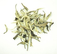 Imperial Grade Yue Guang Bai White tea * Spring 2016 from Yunnan Sourcing