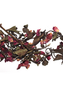 White Peony Rose from Grounded Premium Tea
